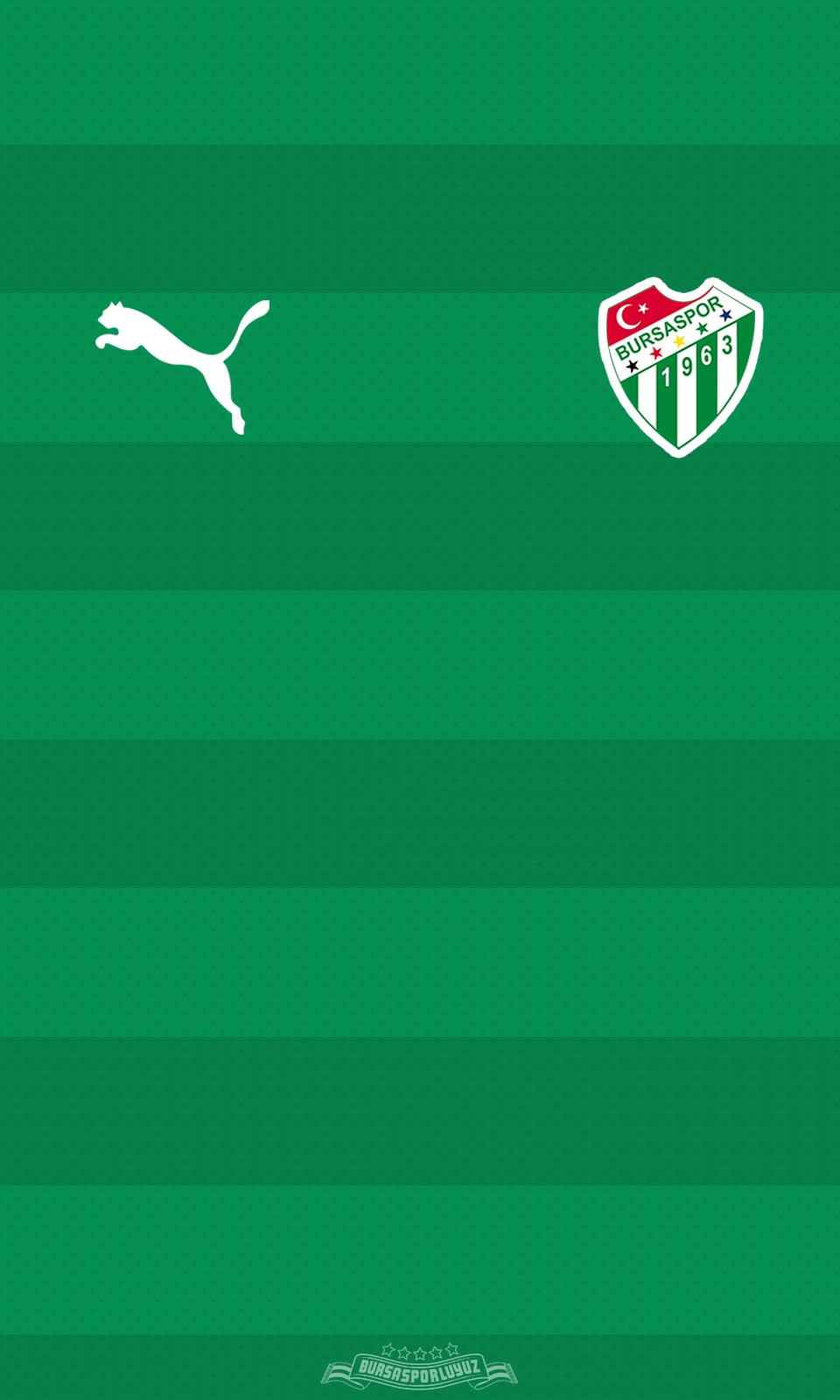 Bursaspor Wallpapers