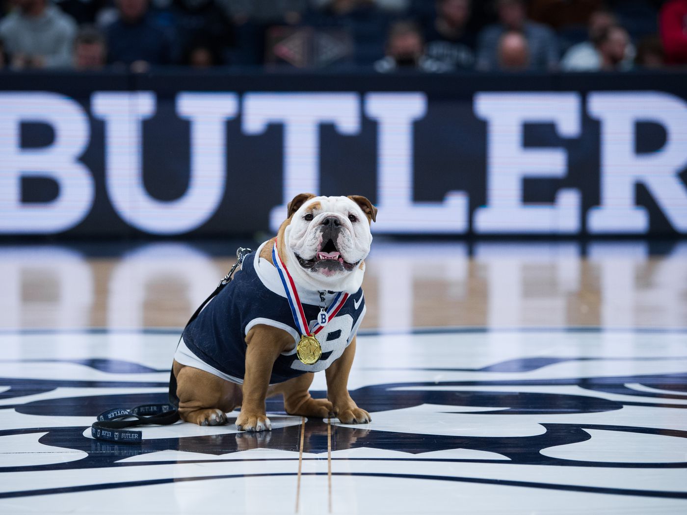 Butler University Wallpapers