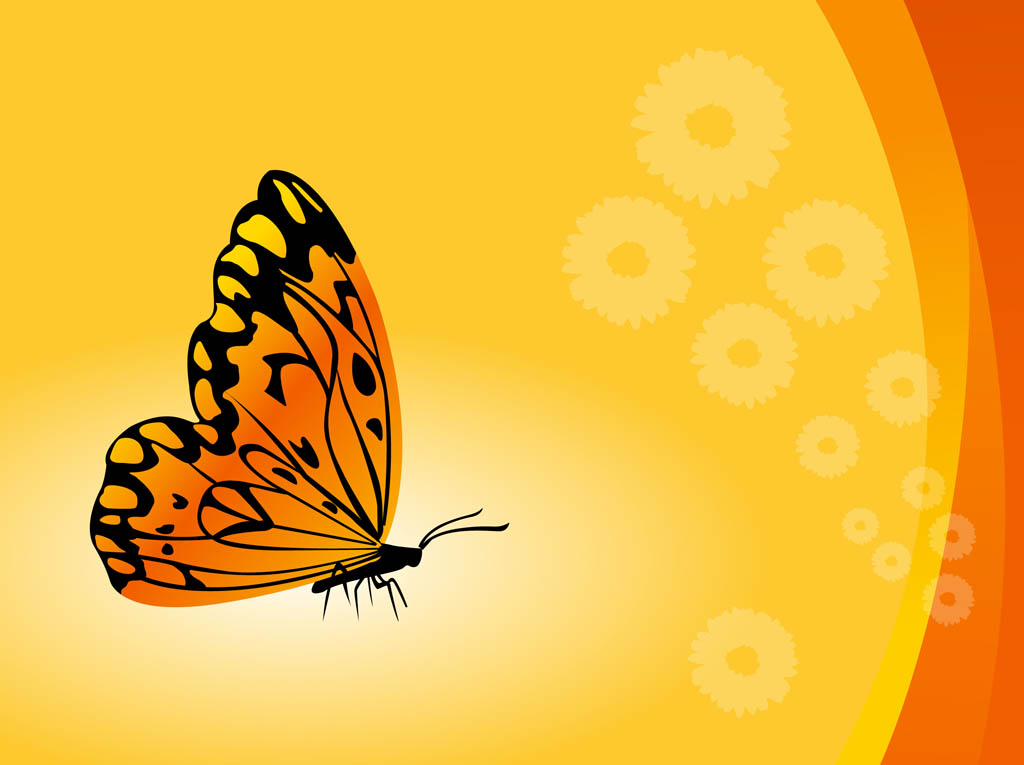 Butterfly Background