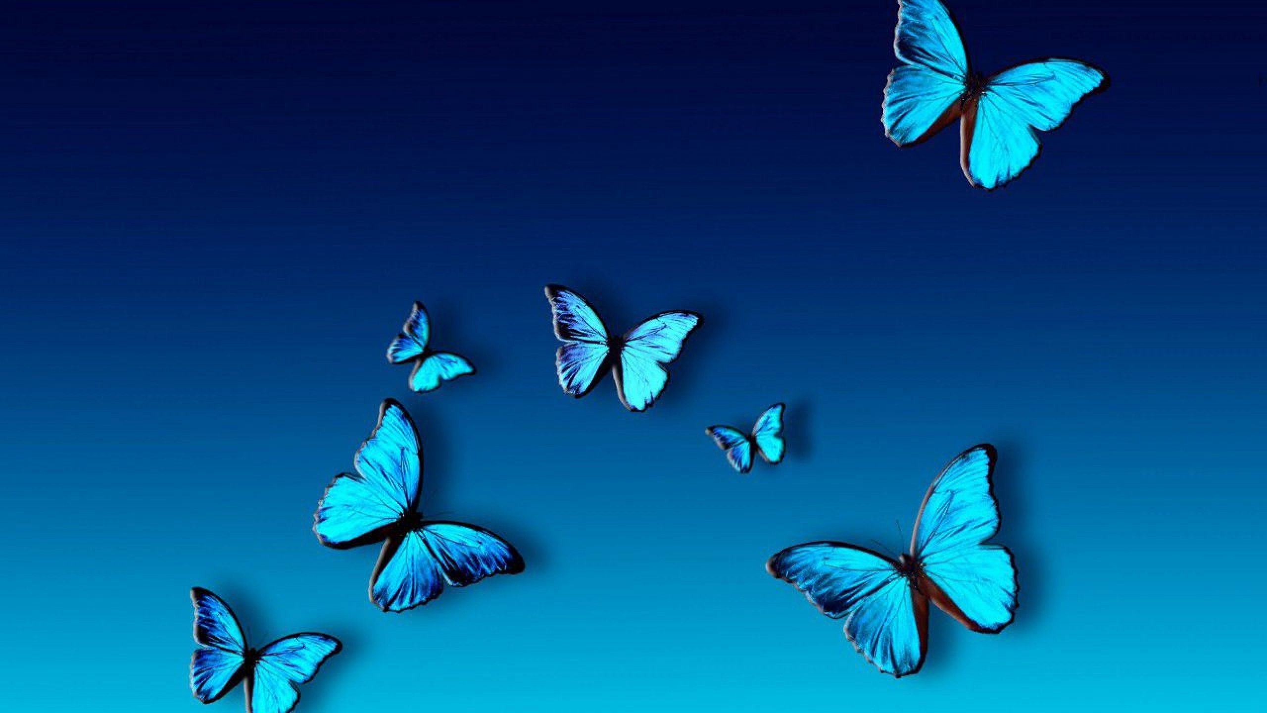 Butterfly Background