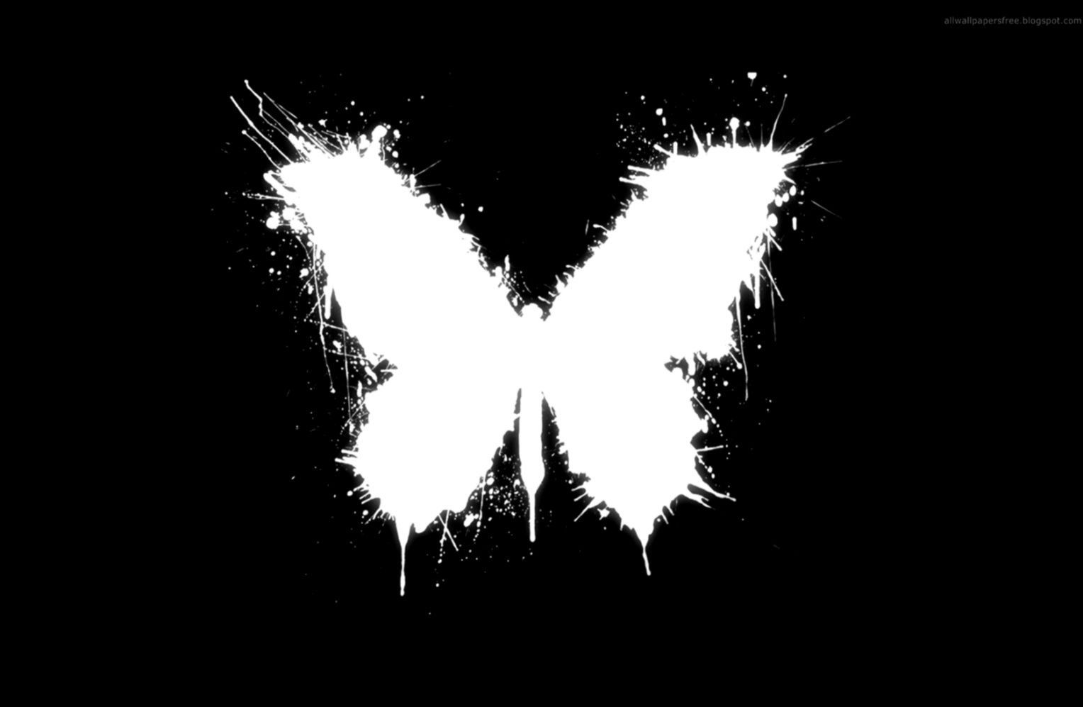 Butterfly Black And White Wallpapers