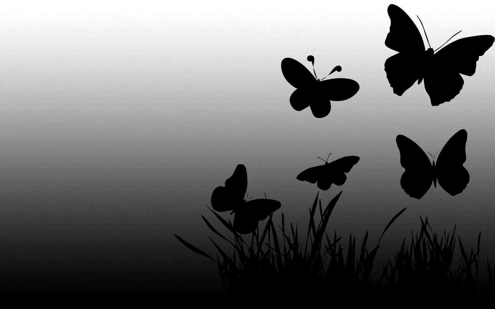 Butterfly Black And White Wallpapers