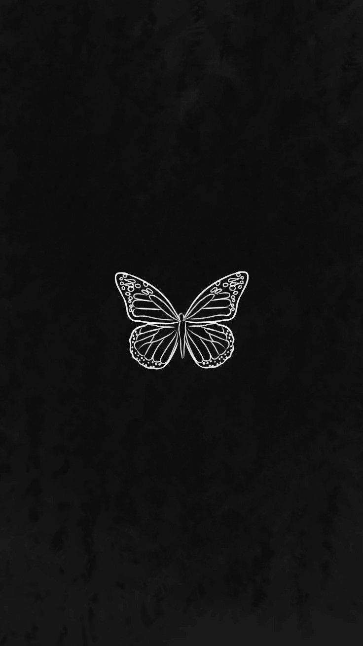 Butterfly Black And White Wallpapers