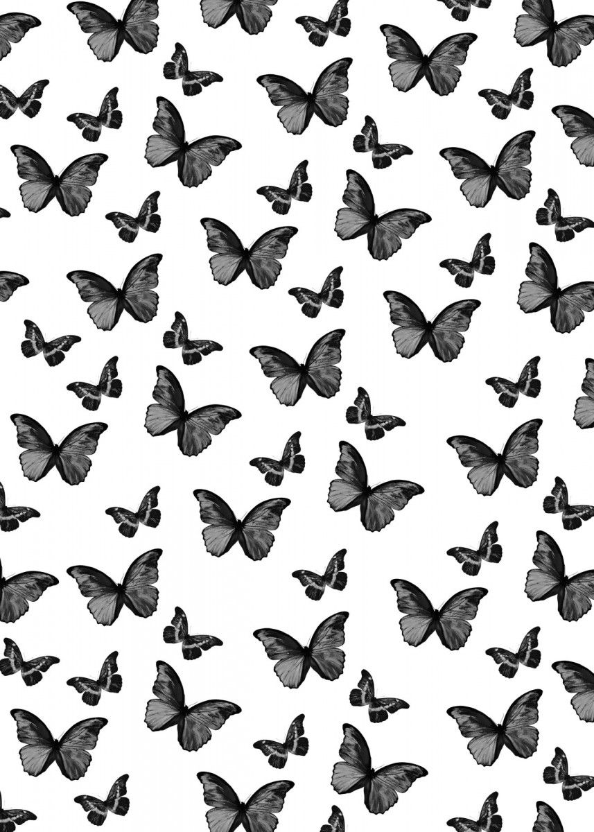 Butterfly Black And White Wallpapers