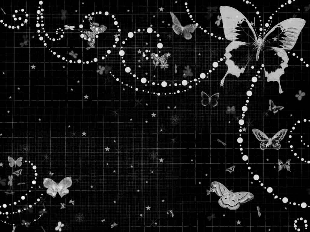 Butterfly Black And White Wallpapers