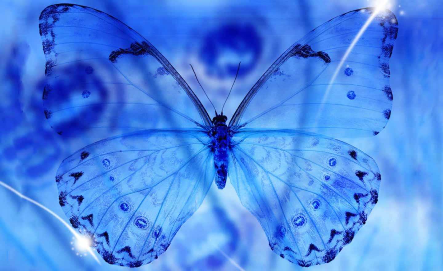 Butterfly Computer Background