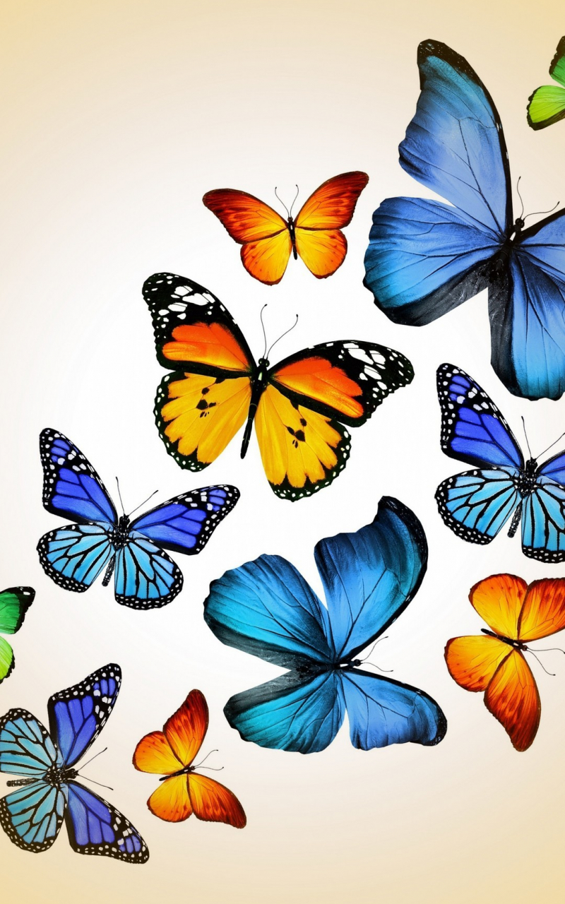 Butterfly For Android Wallpapers