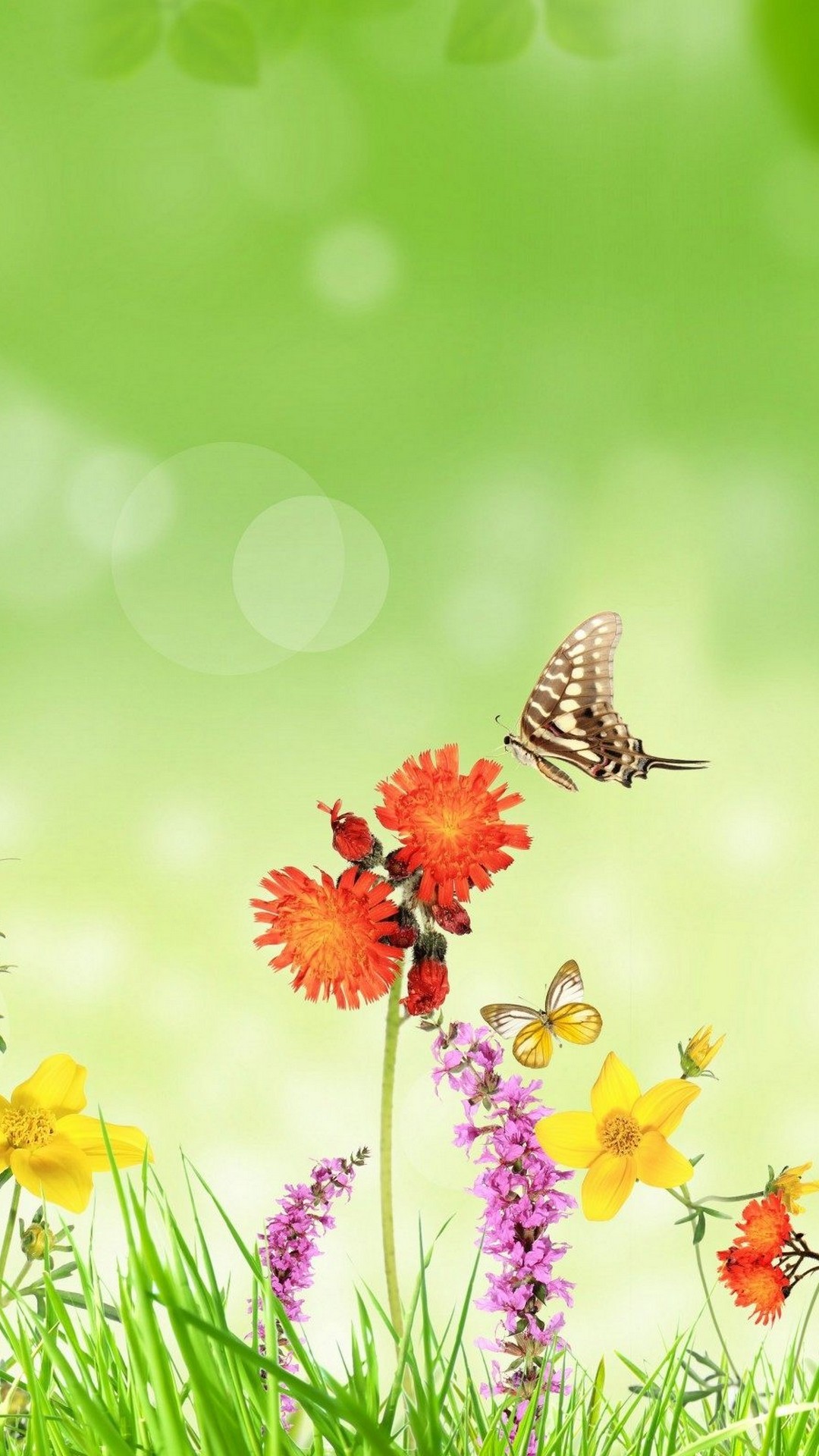 Butterfly For Android Wallpapers