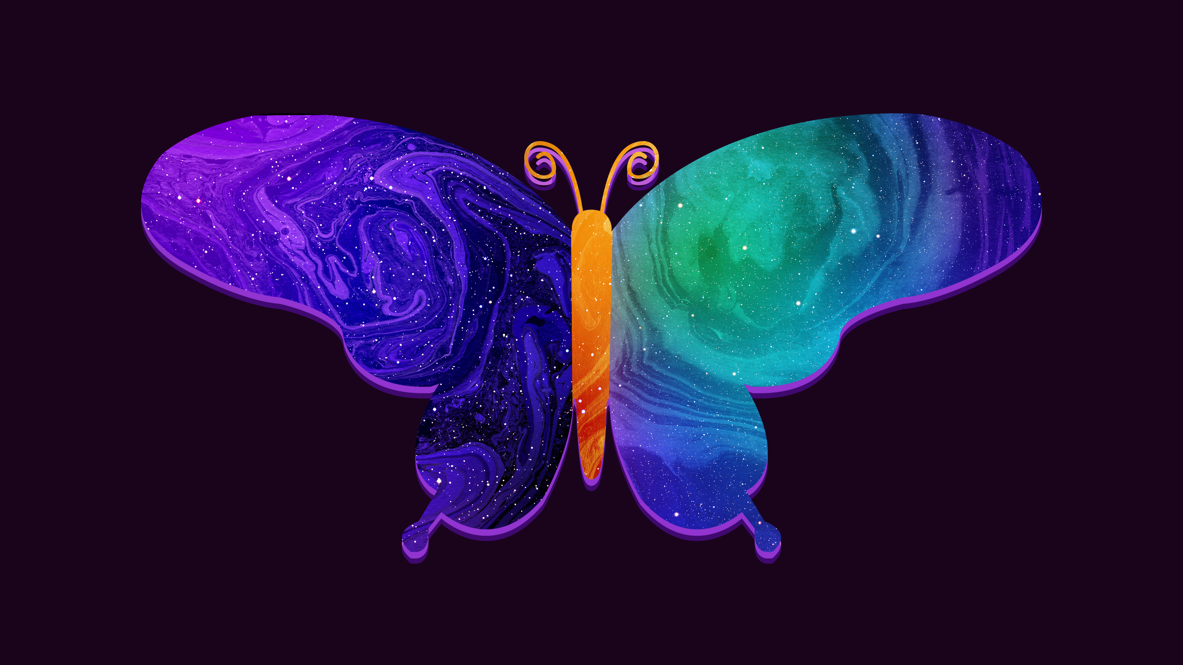 Butterfly Hd Wallpapers