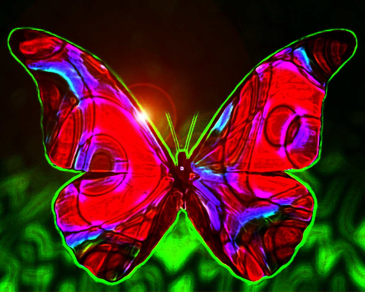 Butterfly Hd Wallpapers