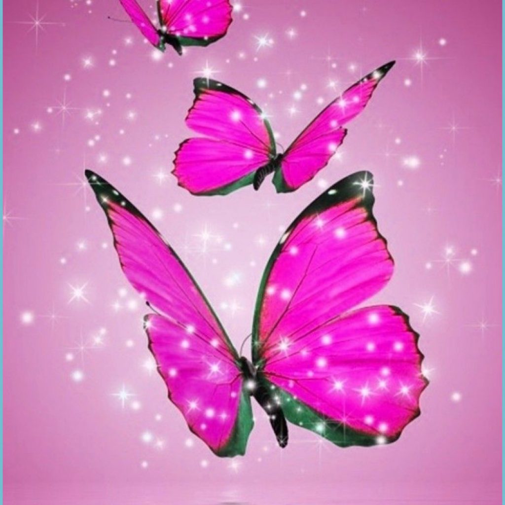 Butterfly Ipad Wallpapers