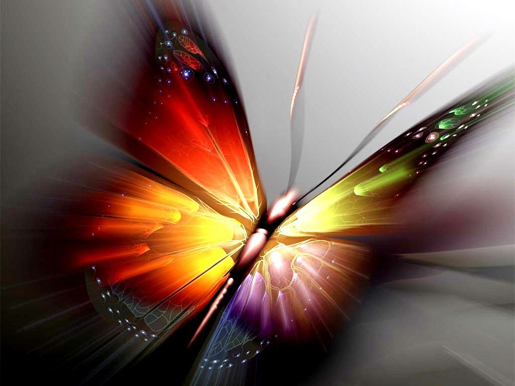 Butterfly Ipad Wallpapers