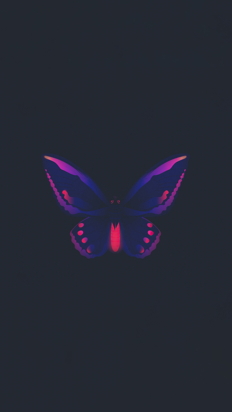 Butterfly Iphone Wallpapers