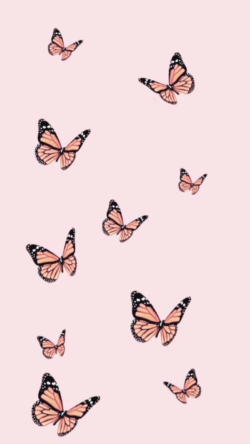 Butterfly Iphone Wallpapers