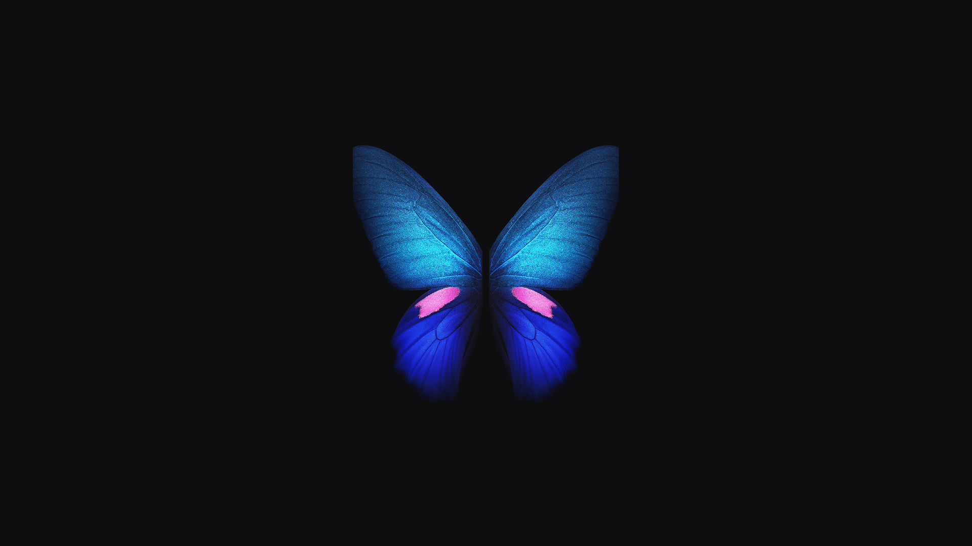 Butterfly Laptop Wallpapers