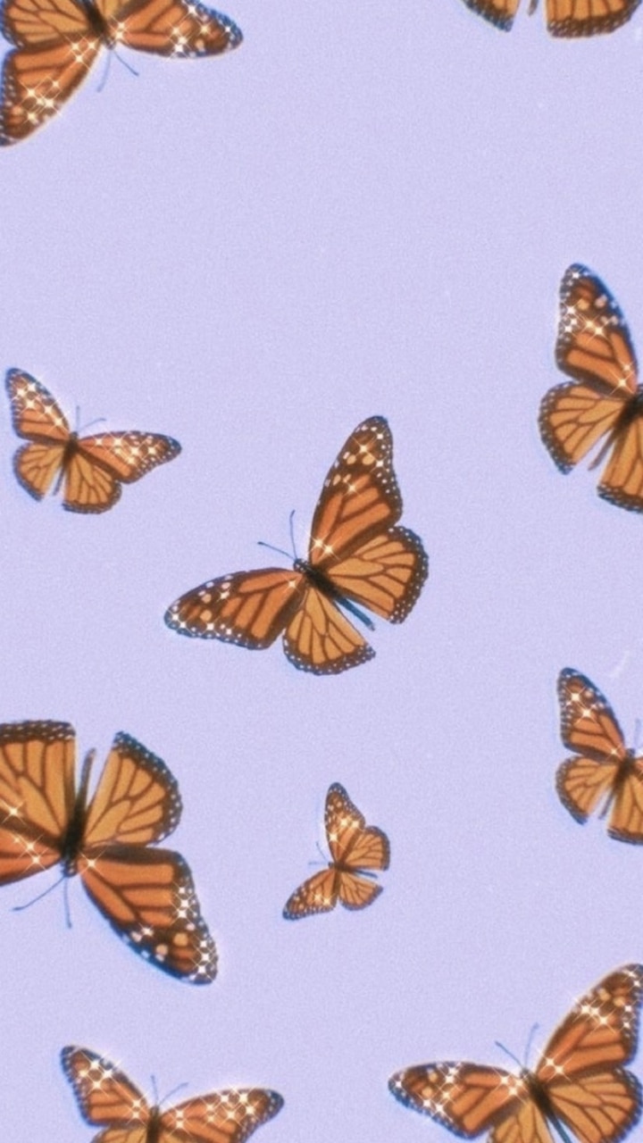 Butterfly Wallpapers