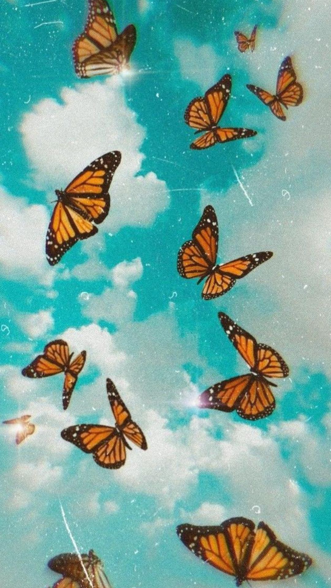 Butterfly Wallpapers