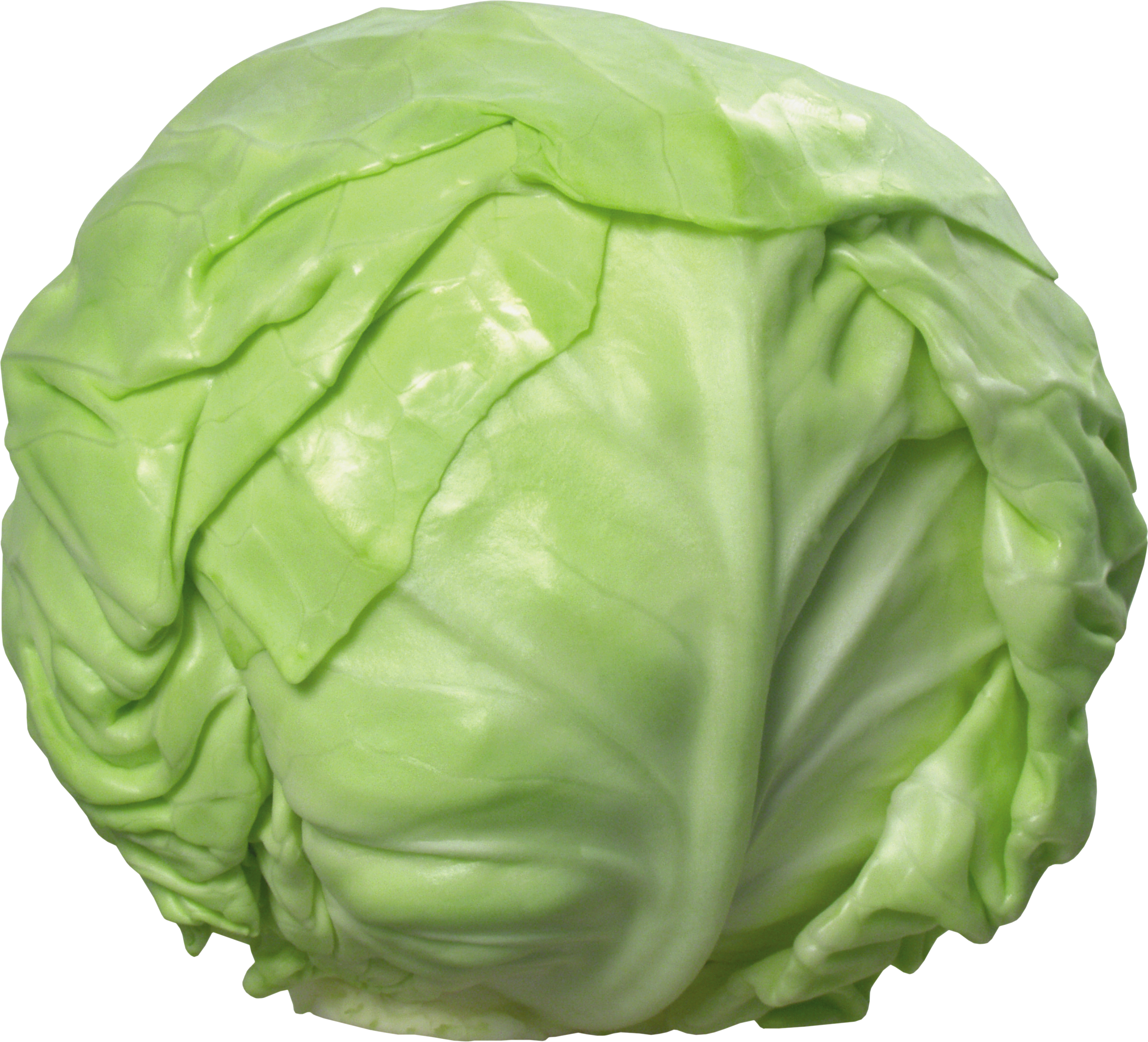 Cabbage Wallpapers