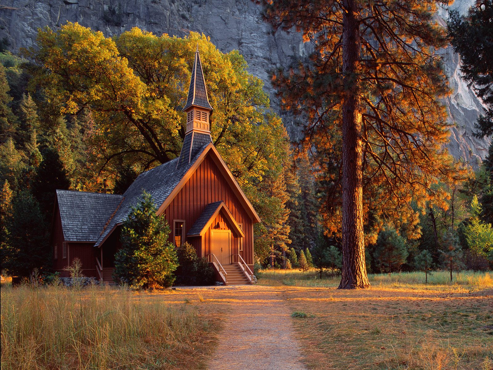 Cabin In The Woods Background