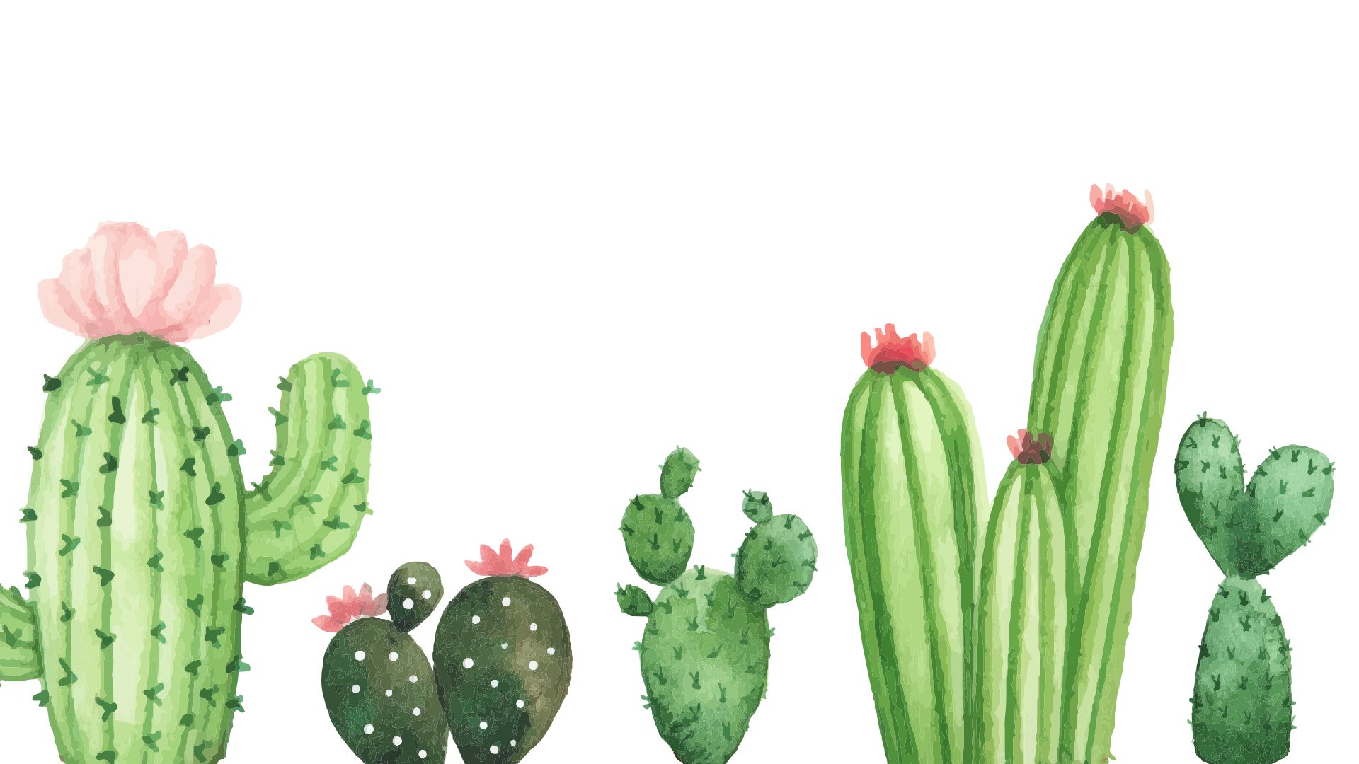 Cactus Background