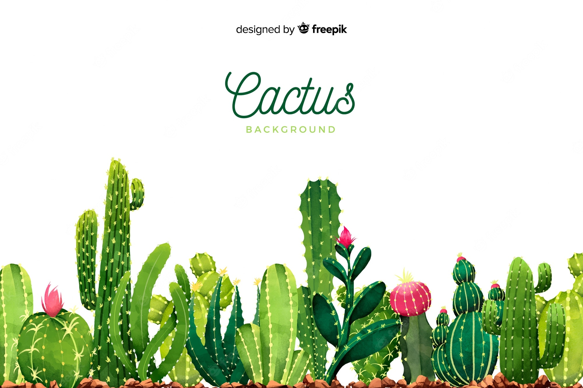 Cactus Background