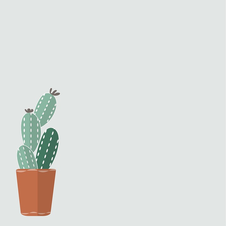 Cactus Background