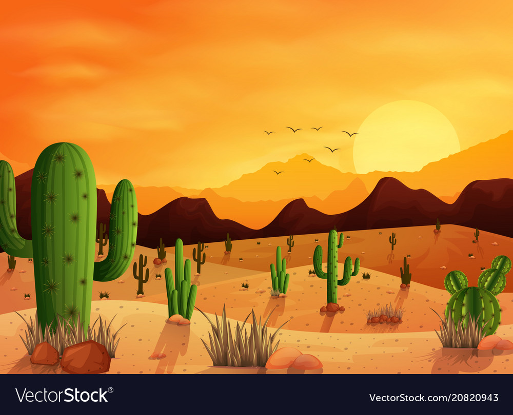 Cactus Desert Background