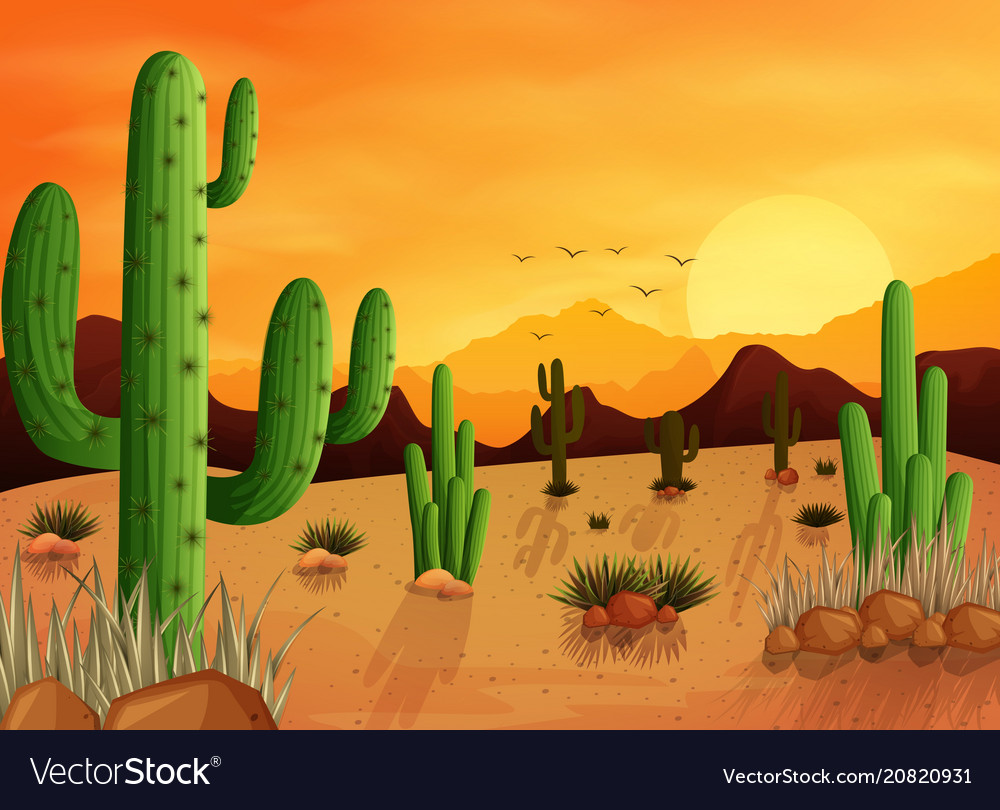 Cactus Desert Background