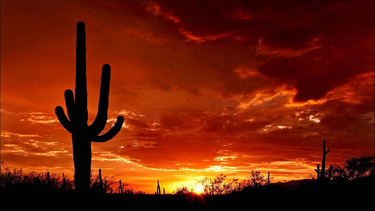 Cactus Desert Background