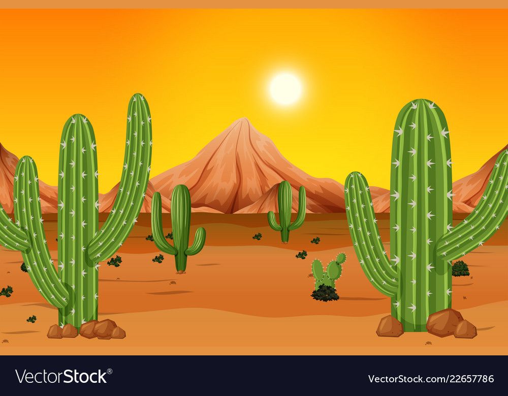 Cactus Desert Background