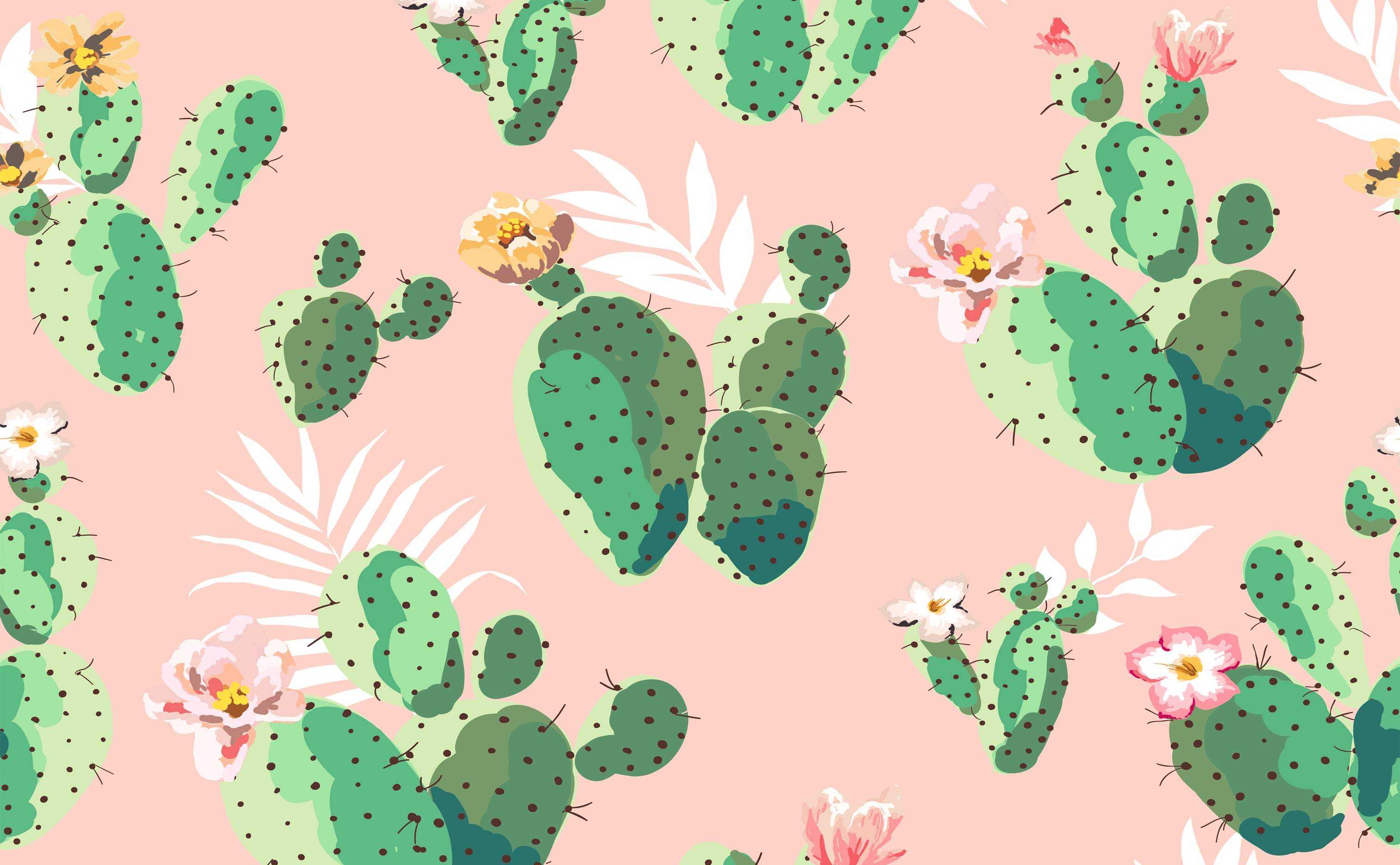 Cactus Desktop Wallpapers