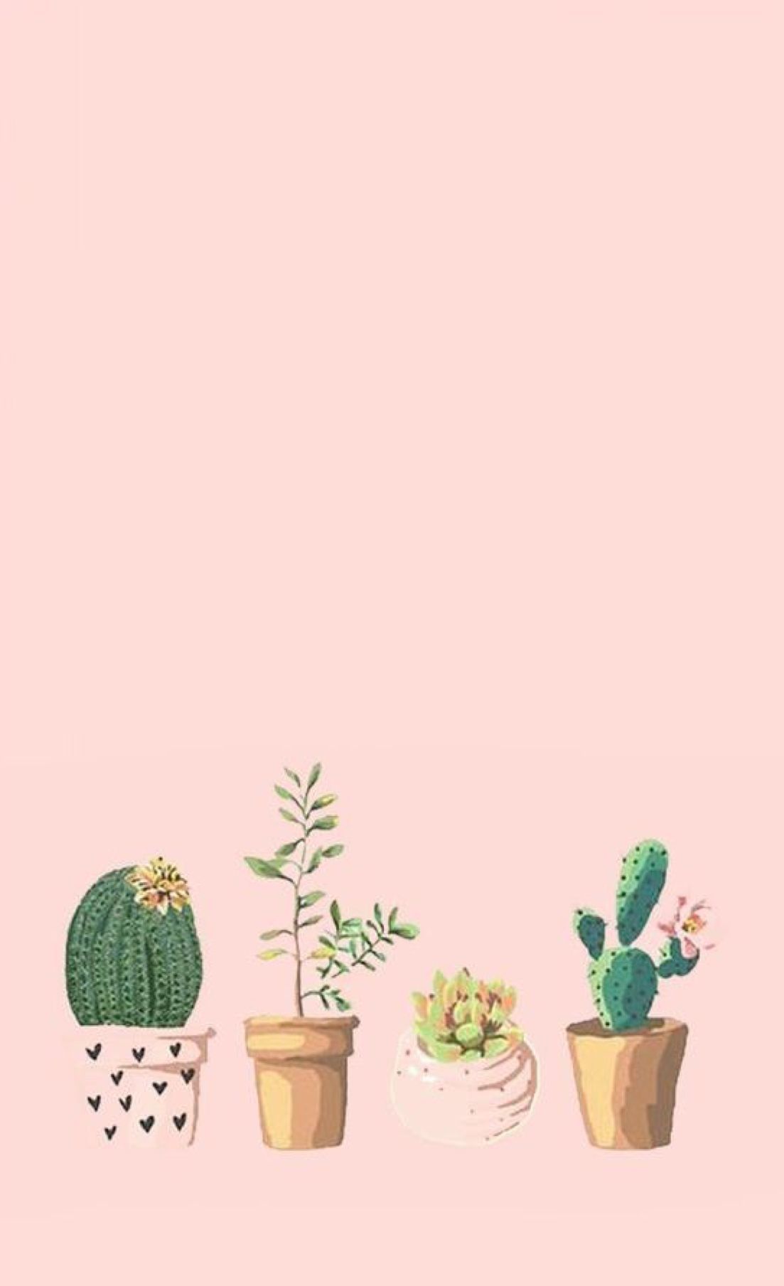 Cactus Phone Wallpapers