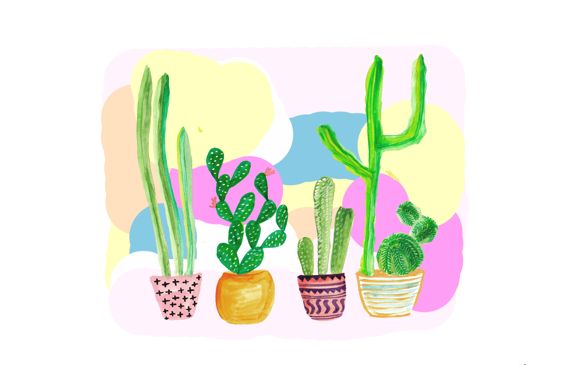 Cactus Phone Wallpapers