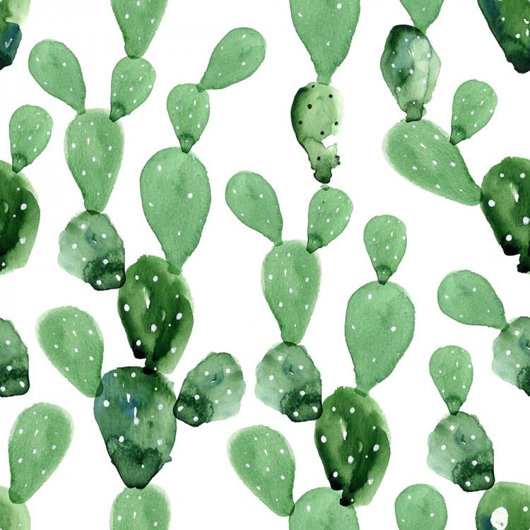 Cactus Print Wallpapers