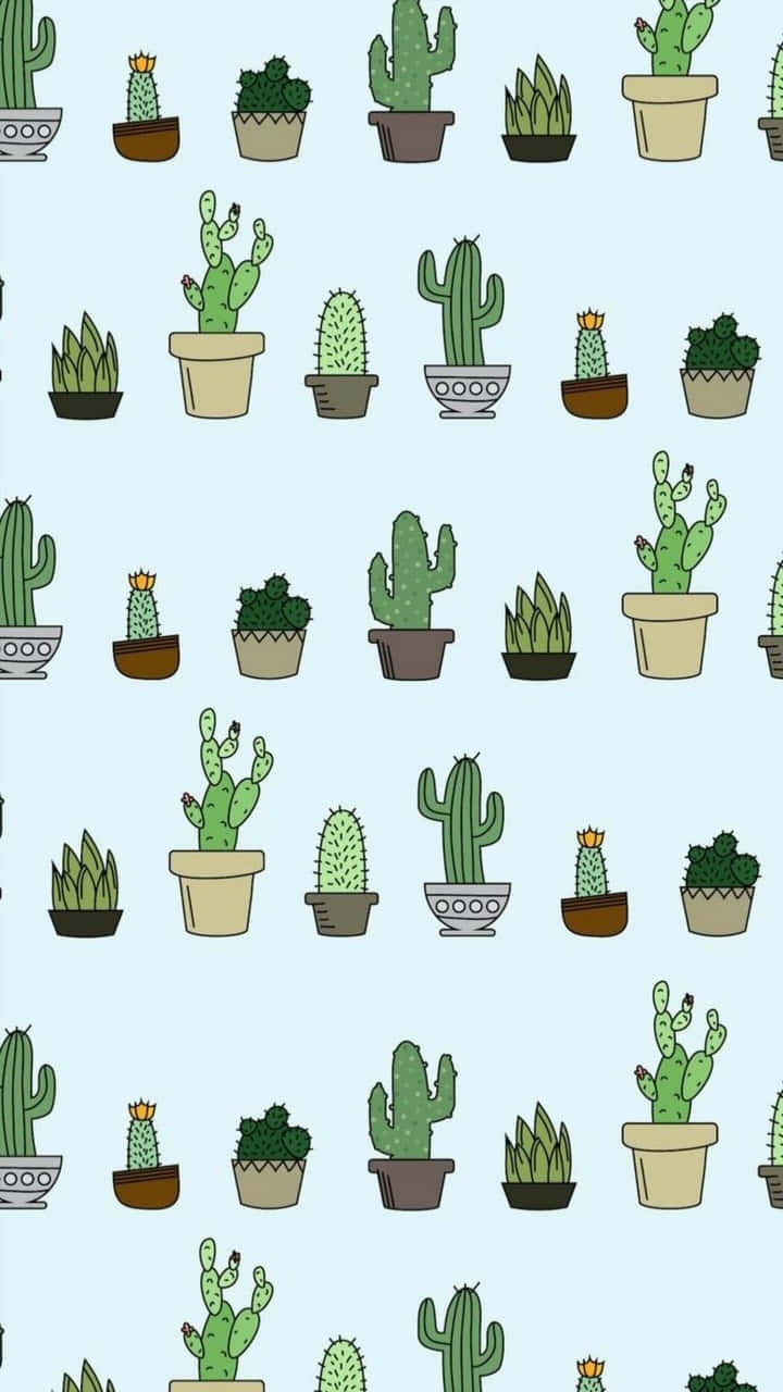 Cactus Tumblr Wallpapers