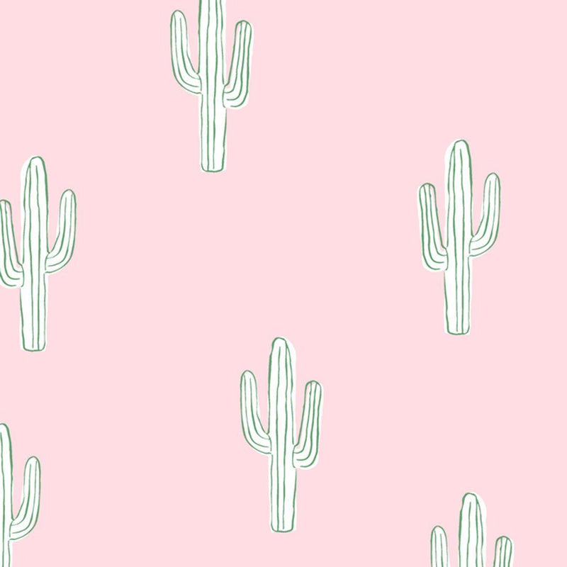 Cactus Tumblr Wallpapers