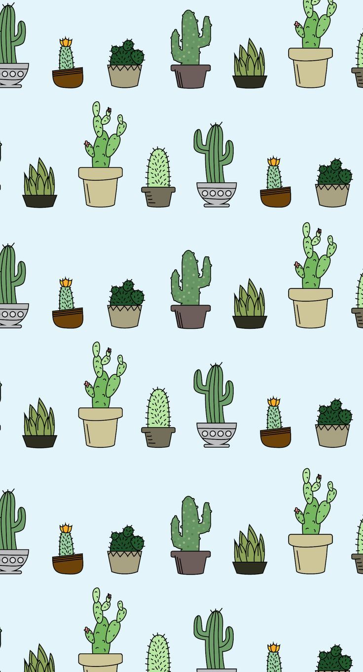 Cactus Tumblr Wallpapers