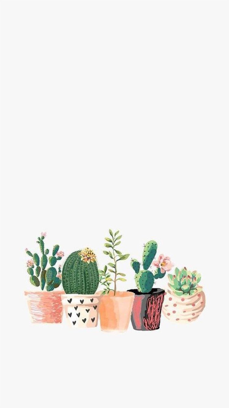 Cactus Tumblr Wallpapers