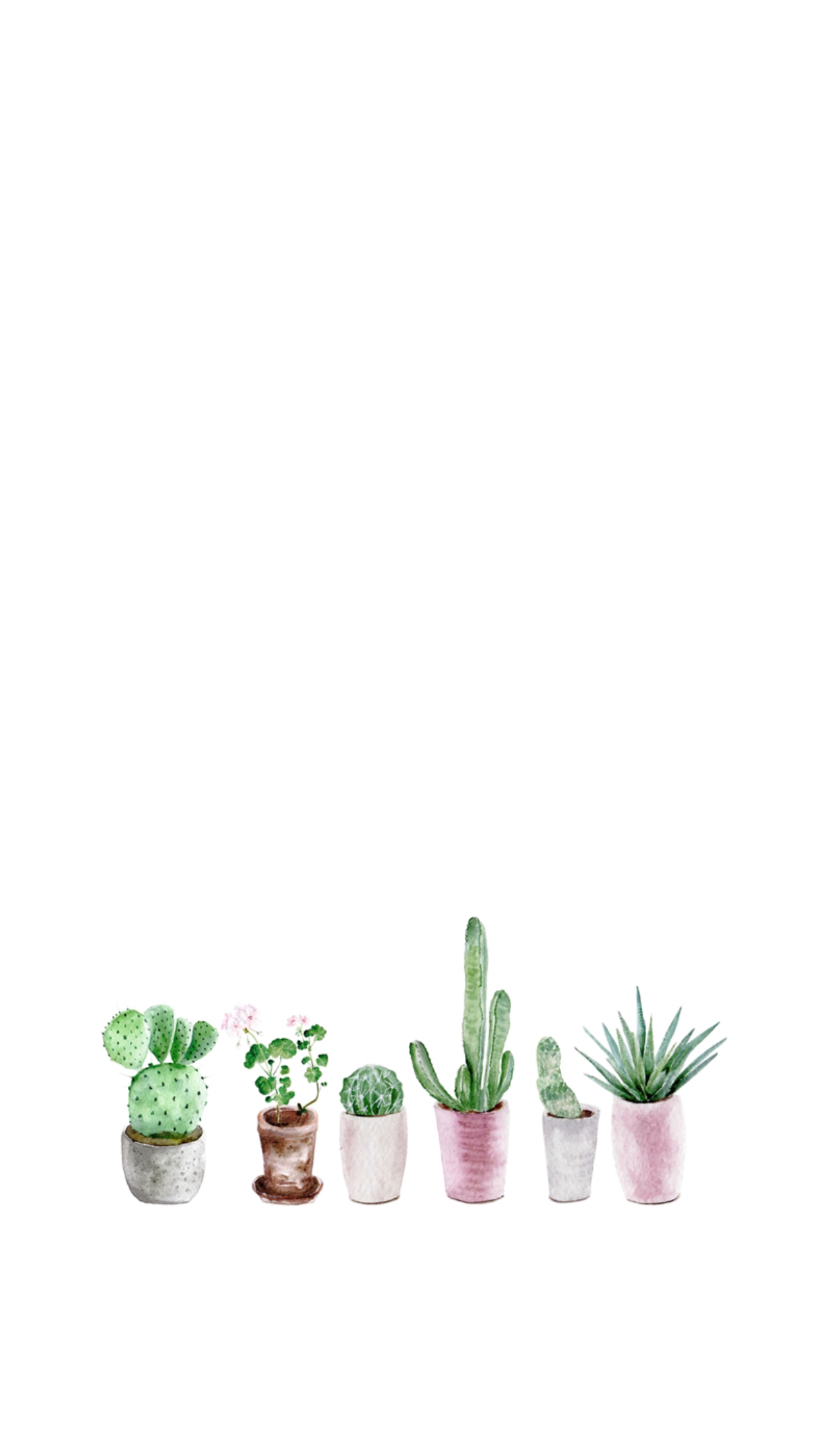 Cactus Tumblr Wallpapers