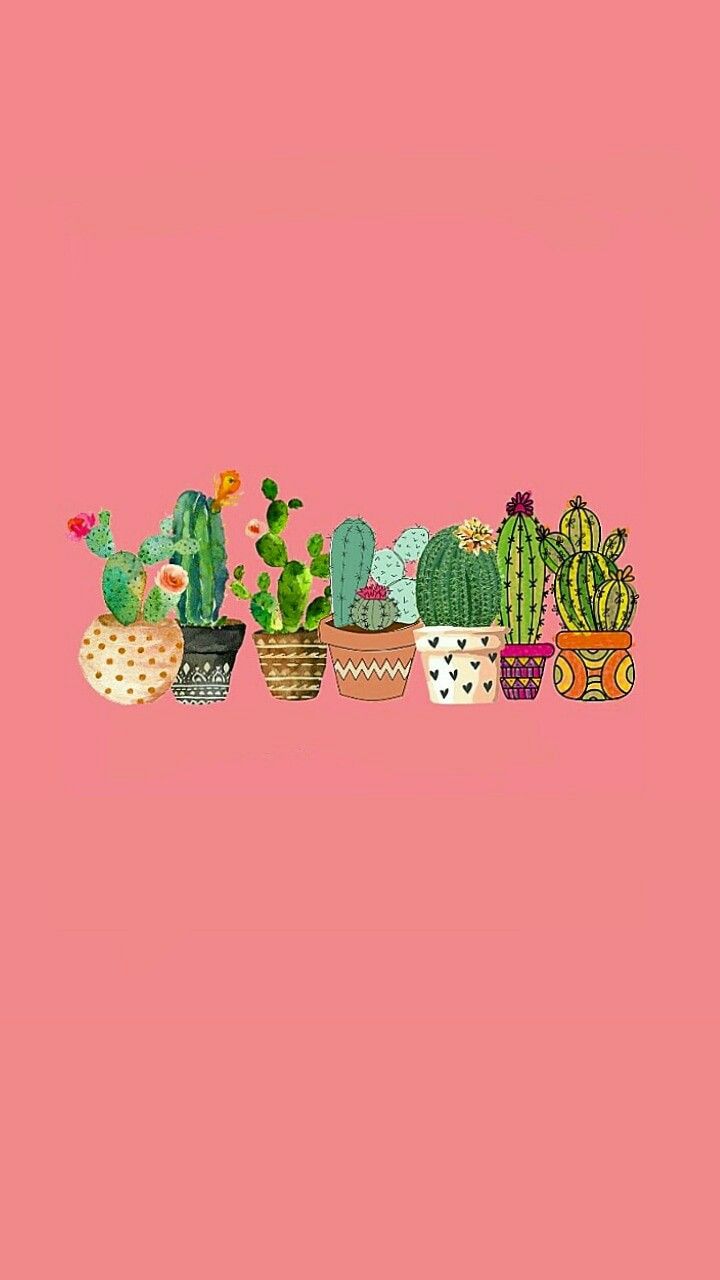 Cactus Tumblr Wallpapers