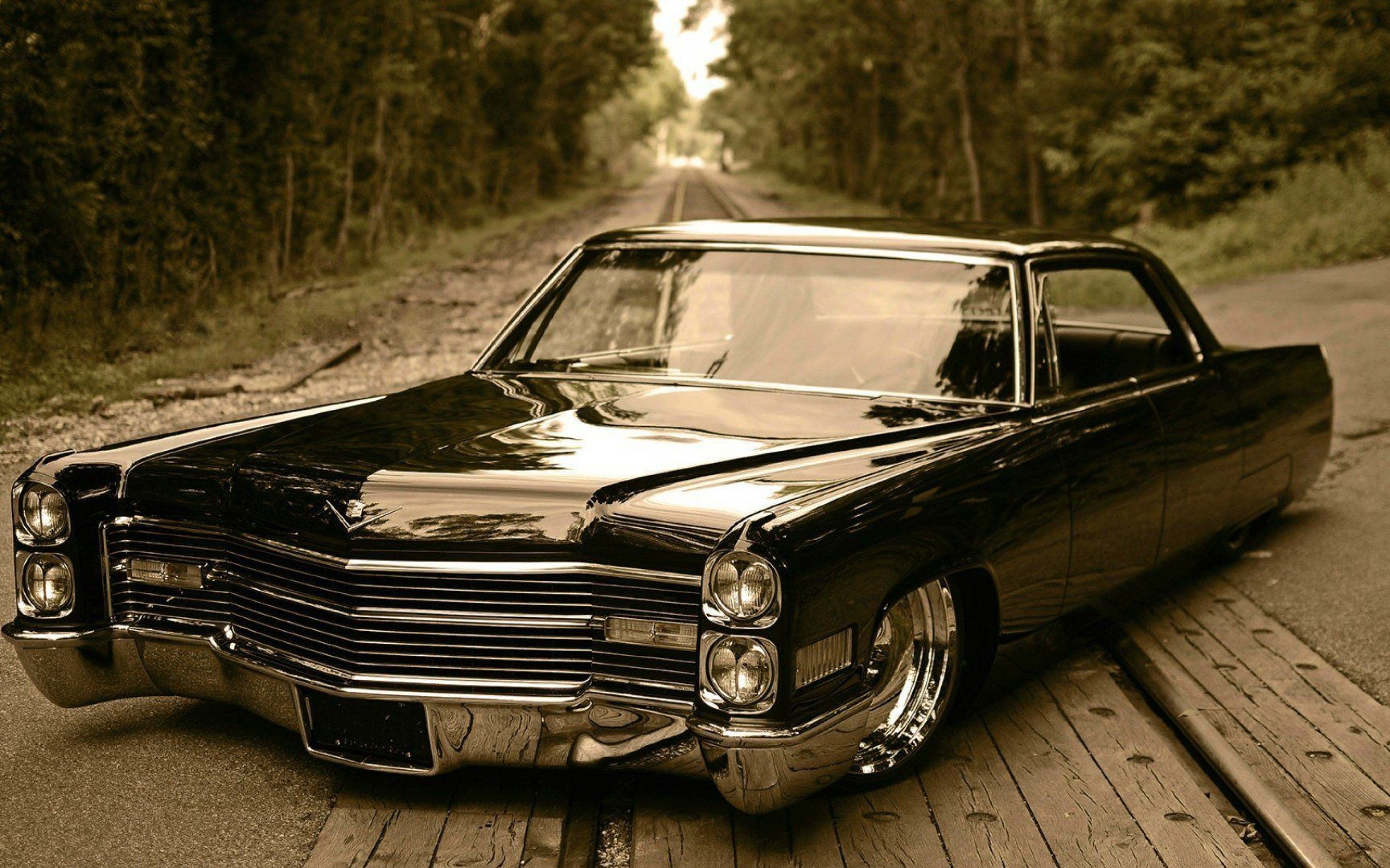 Cadillac 61 Coupe Wallpapers