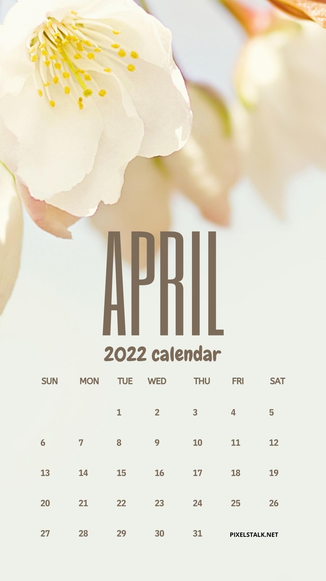 Calendar Iphone Wallpapers