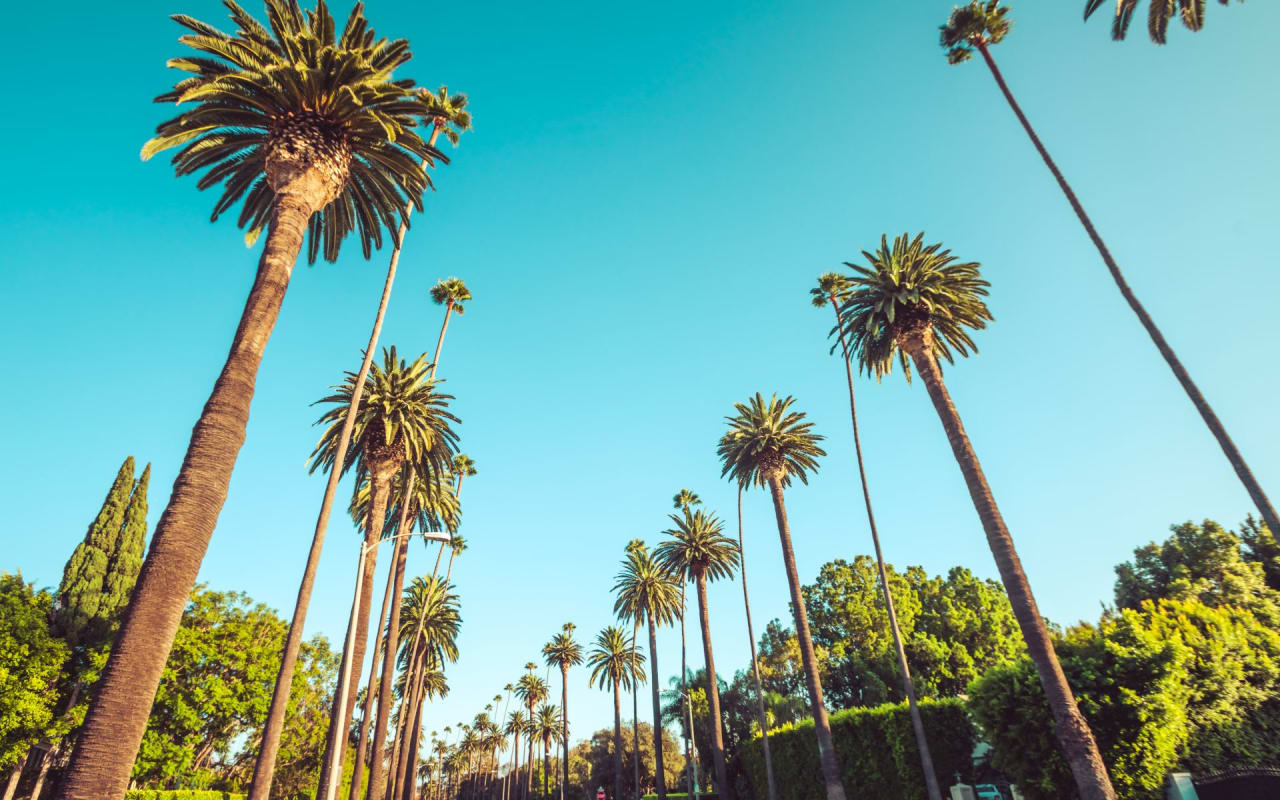 Cali Life Style Wallpapers