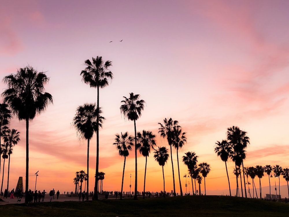 Cali Wallpapers