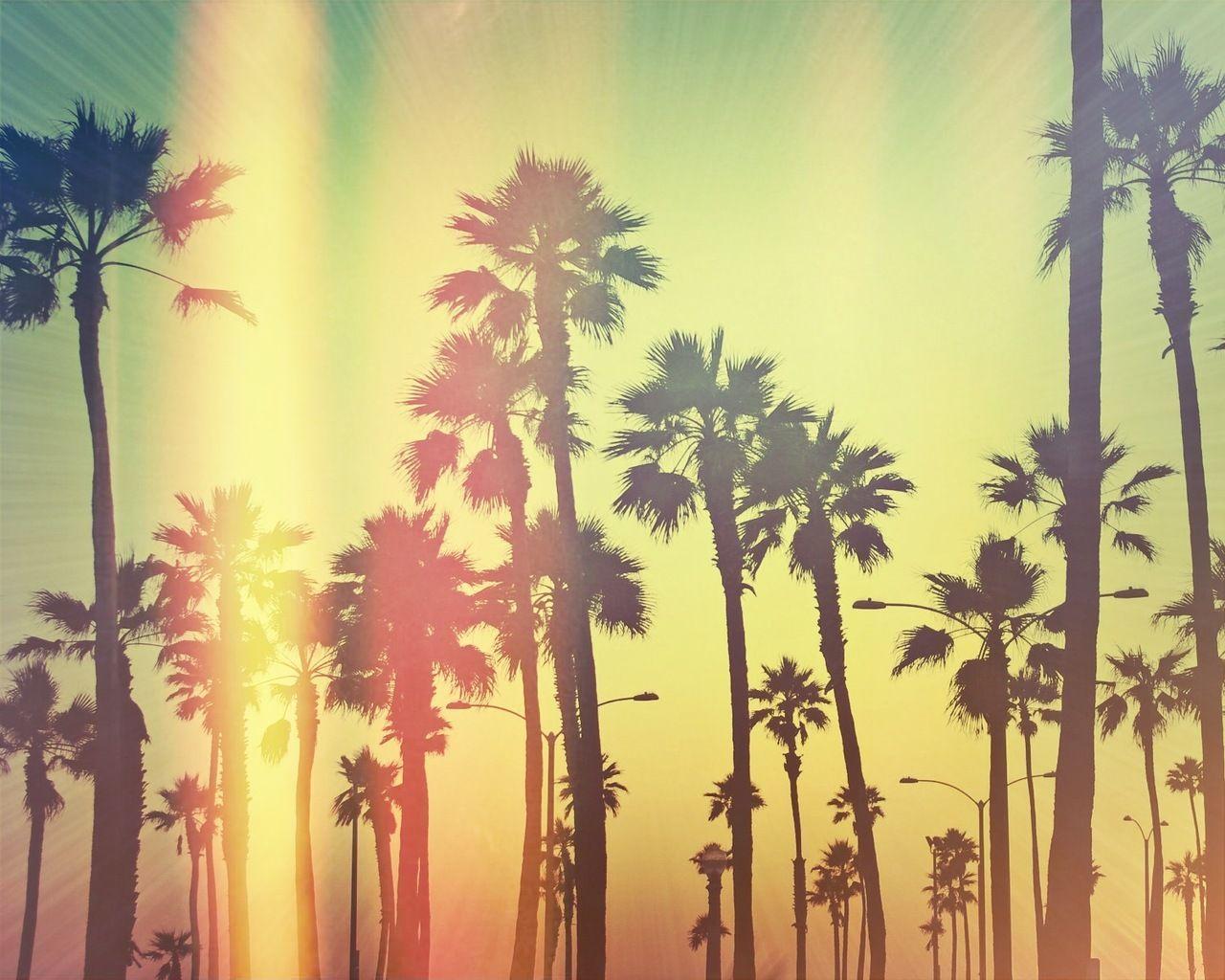 Cali Wallpapers