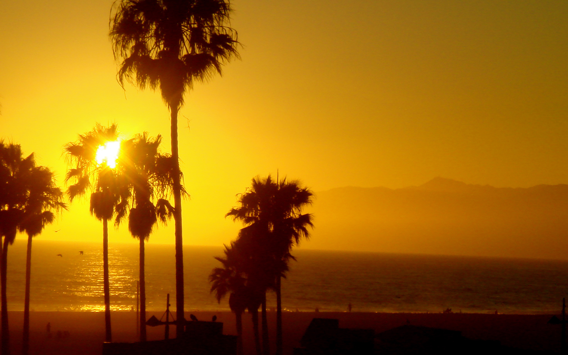 California Beach At Night Wallpapers