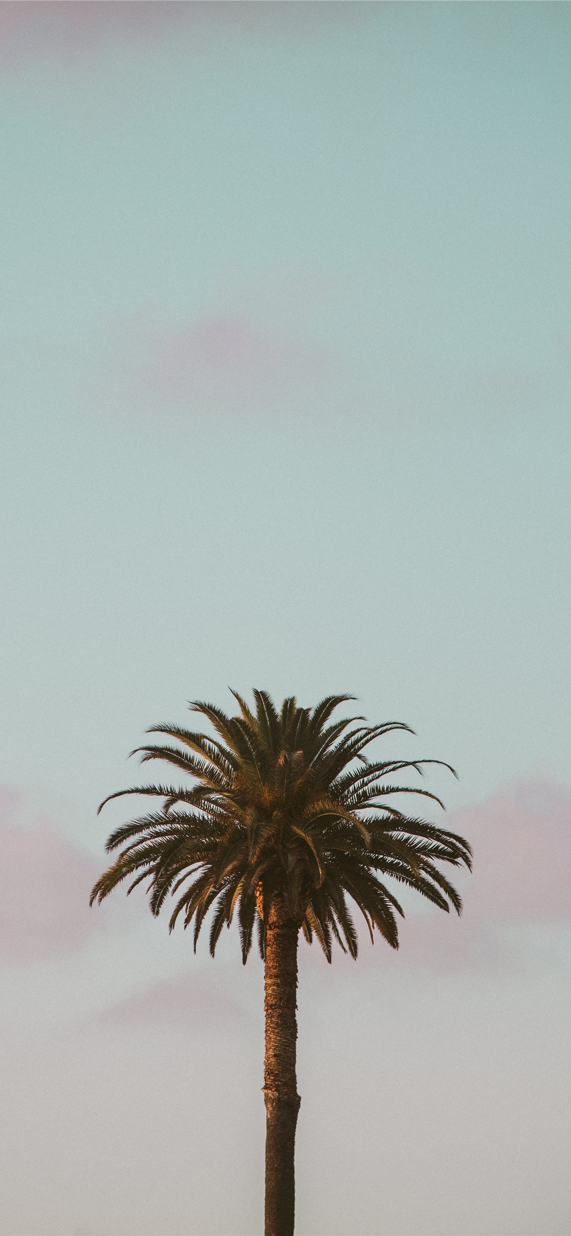 California Iphone Wallpapers