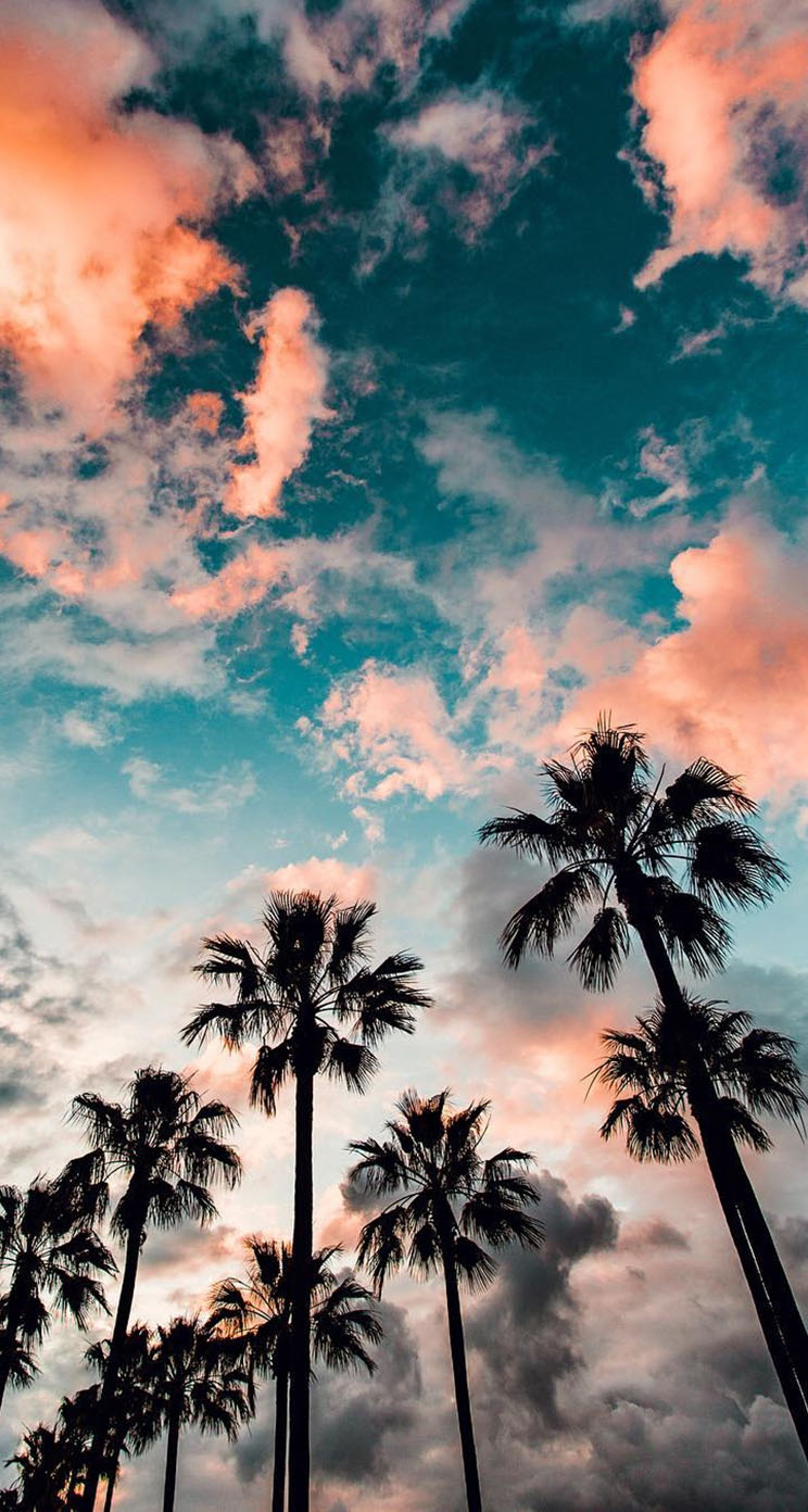 California Iphone Wallpapers