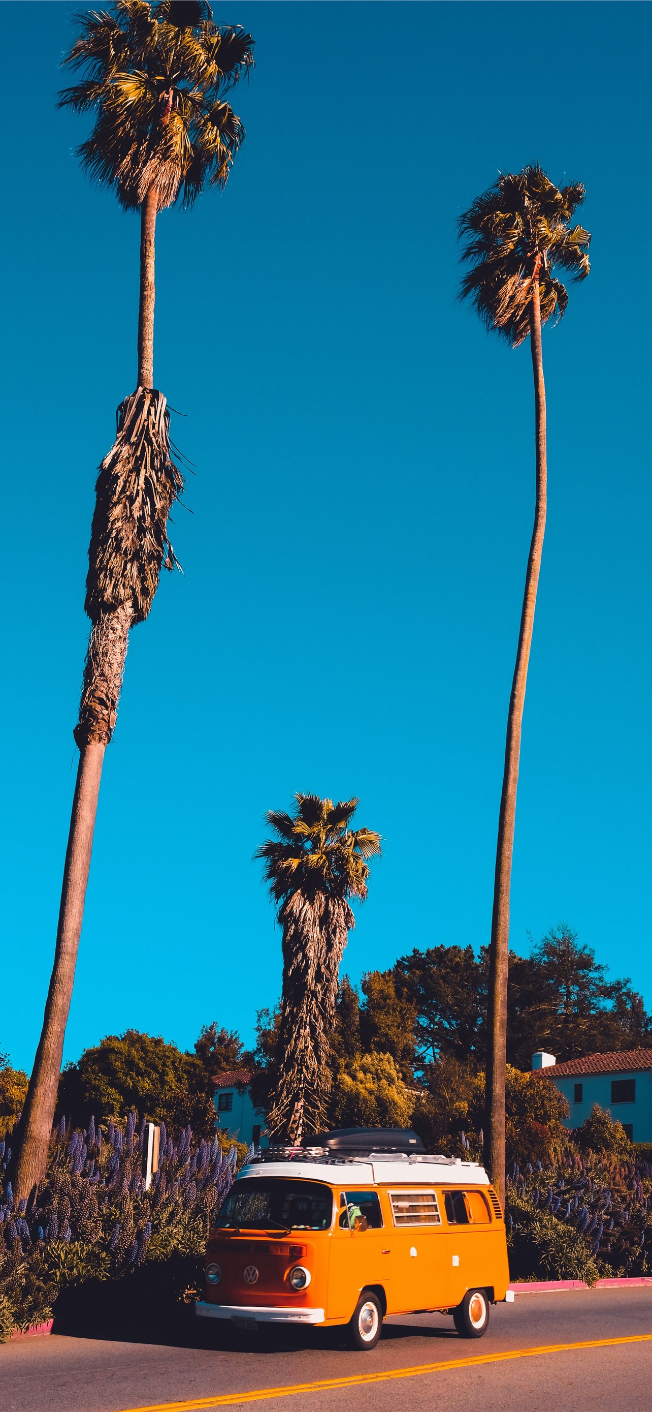 California Iphone Wallpapers