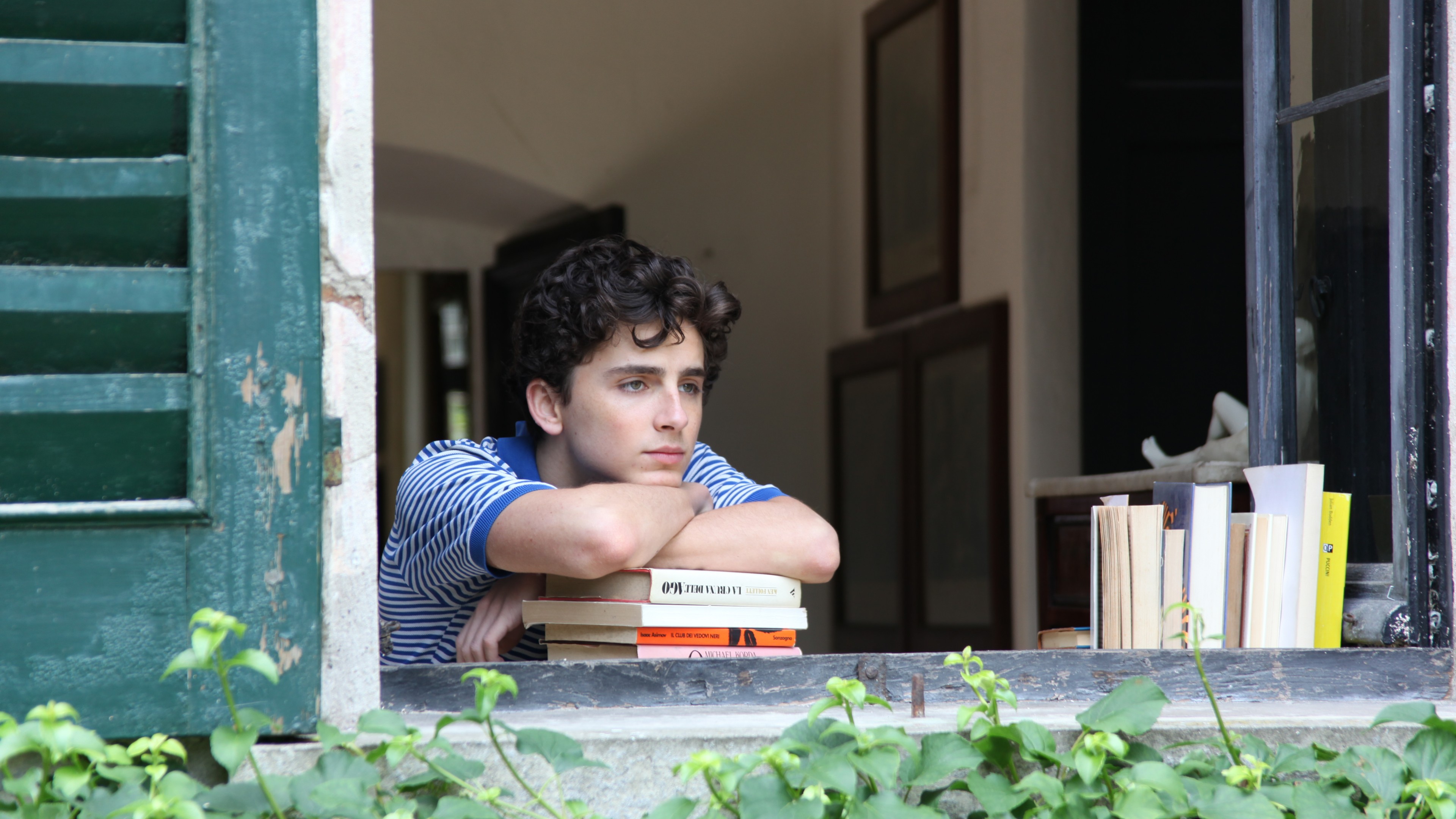 Call Me By Your Name Wallpapers